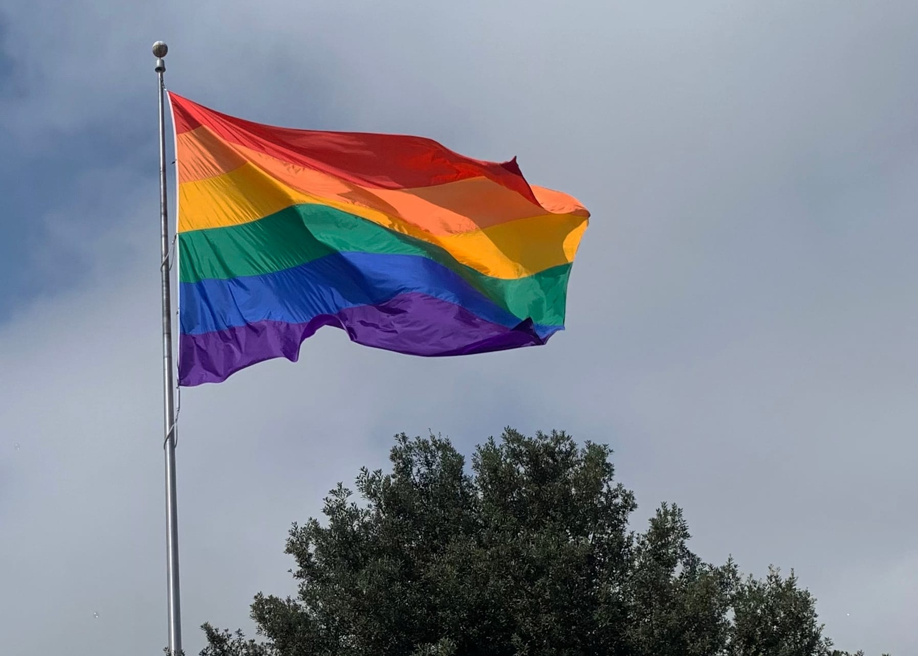 A rainbow flag blows in the wind with a slightly cloudy sky and tree in the background