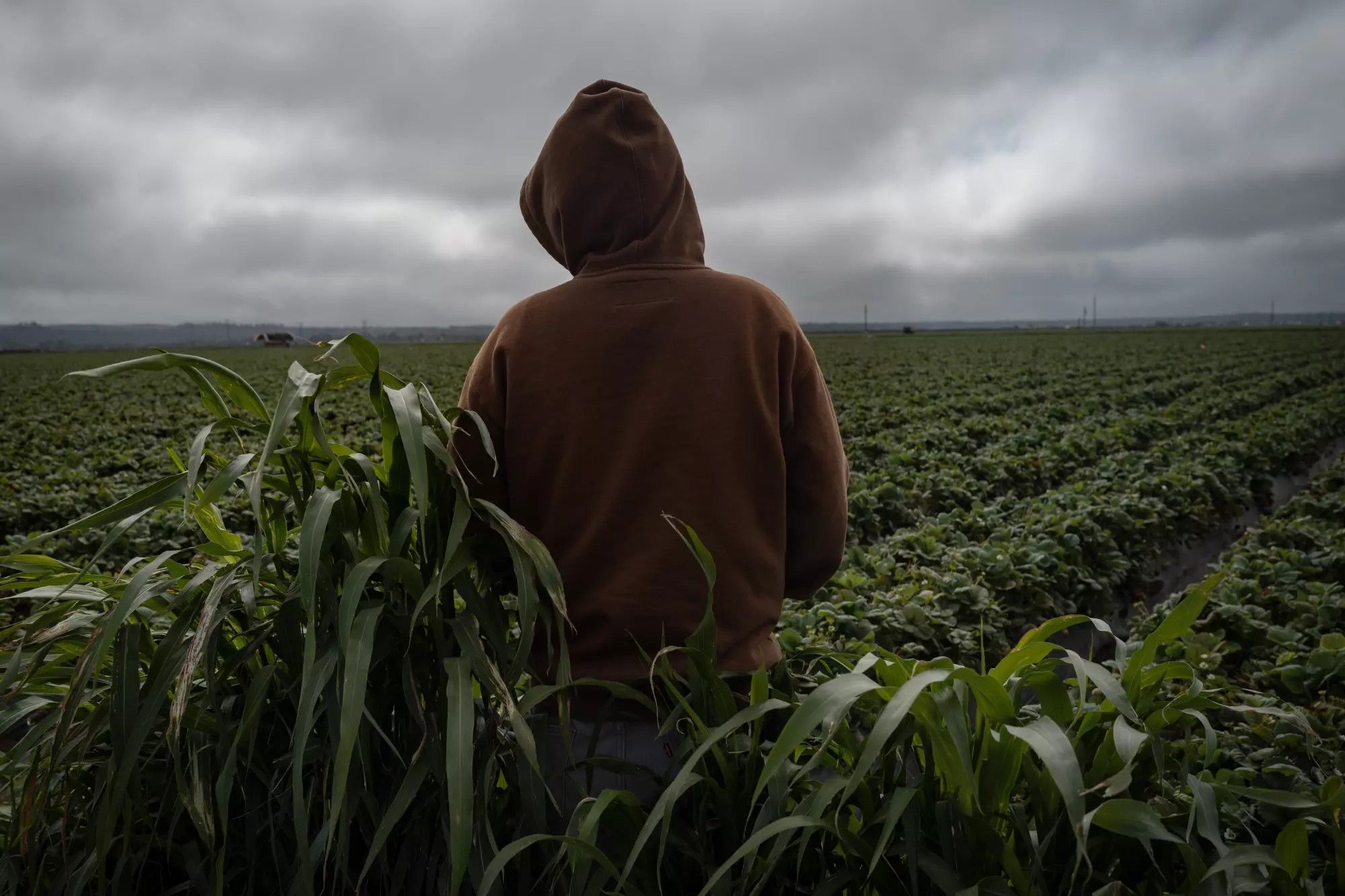 California’s child farmworkers: exhausted, underpaid and toiling in toxic fields
