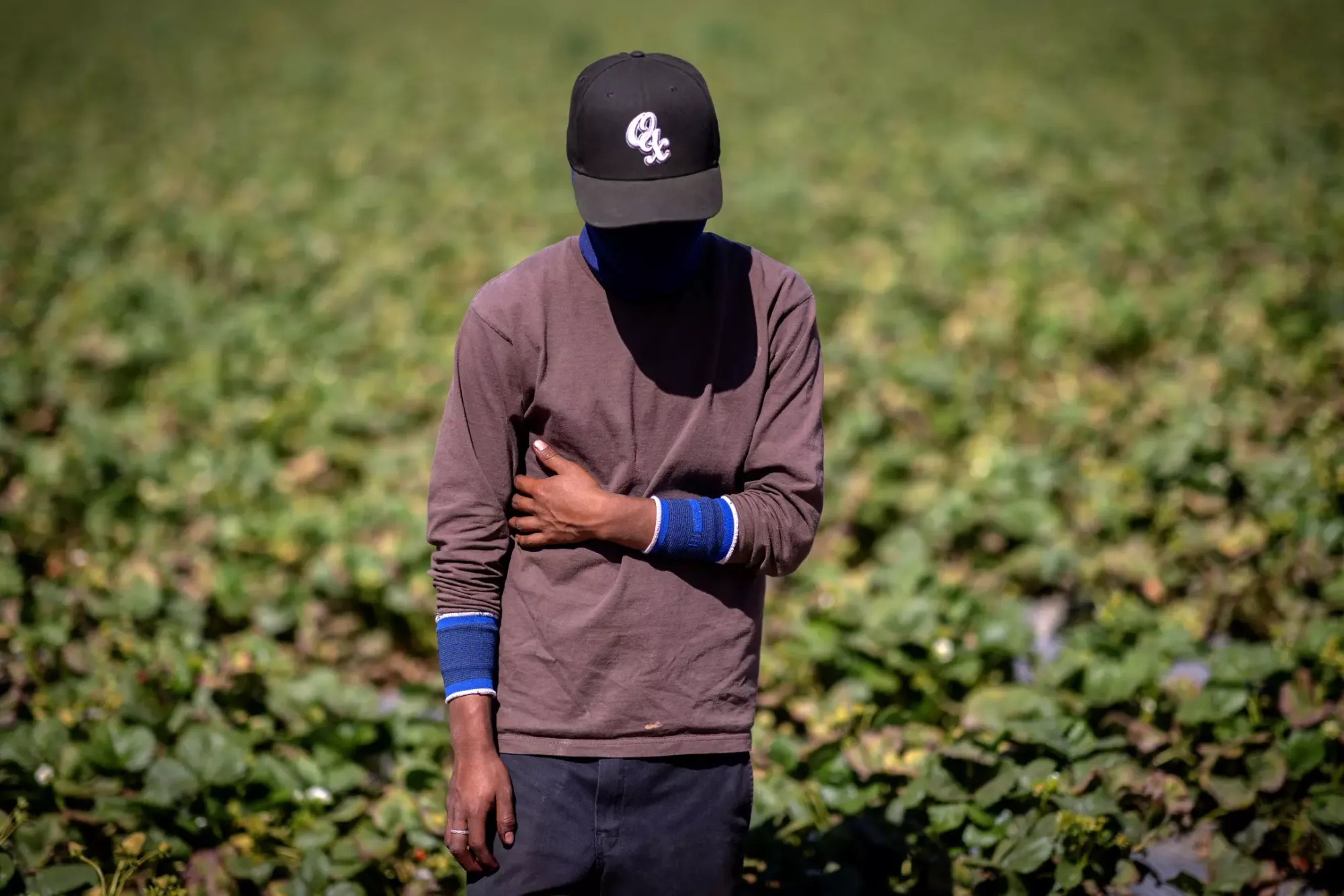 A person in a baseball hat and long-sleeved brown shirt stands in a field with plants all around him