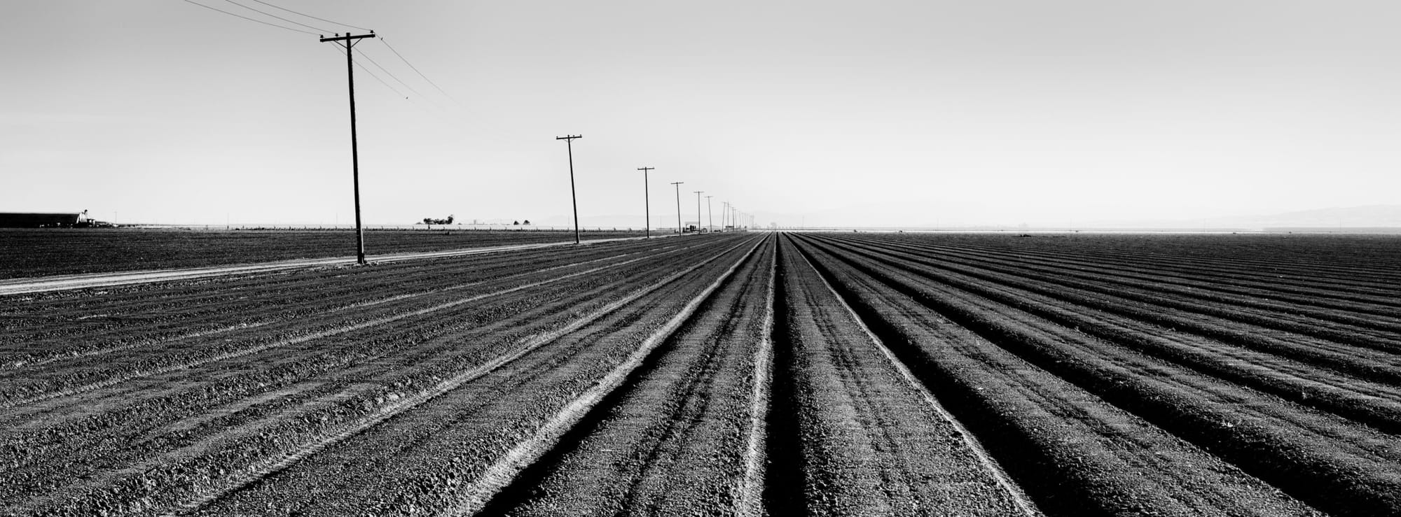 A black and white photo of a farm field