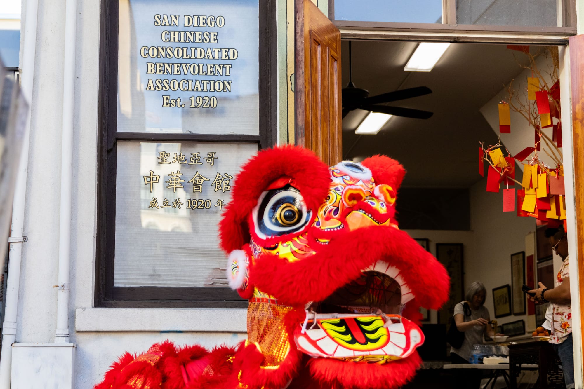 Picture of a lion dancer outside a building that reads "San Diego Chinese Consolidated Benevolent Association Est. 1920" on a window