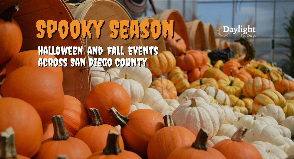 Your guide to the spookiest season: Where to find fun and frights in San Diego