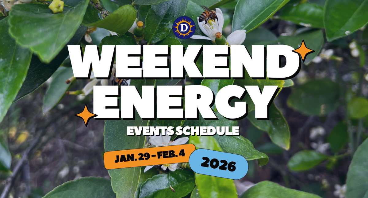 Picture of a lime tree with bees on the flowers with the words "Weekend Energy Events Schedule Jan. 29 - Feb.4 2026"