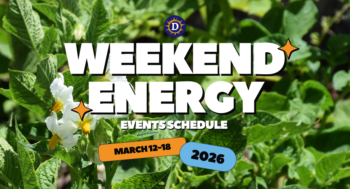 Women-focused jiu jitsu, a protest photo exhibition and a poetry reading: Things to do in San Diego March 12 - 18