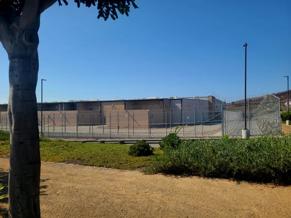 A prison-like building encased in a fence with a tree outside of it 