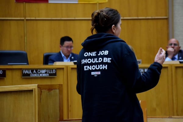 A woman wearing a black hoodie with the words "One job should be enough" on the back of it speaks to city council members during a meeting