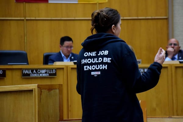 A woman speaks to a city council with her back to the camera. She is wearing a hoodie with the words "One job should be enough."