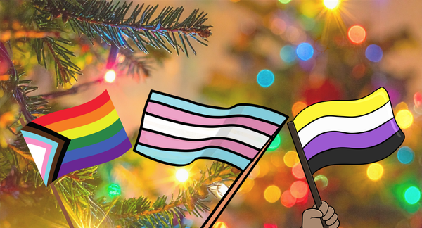 A pride flag, transgender pride flag and nonbinary pride flag wave in front of a tree decorated with rainbow lights.. 
