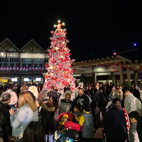 Picture of a vibrant pink, red and white Christmas tree with ornate decorations and a crowd of people standing around it outside.