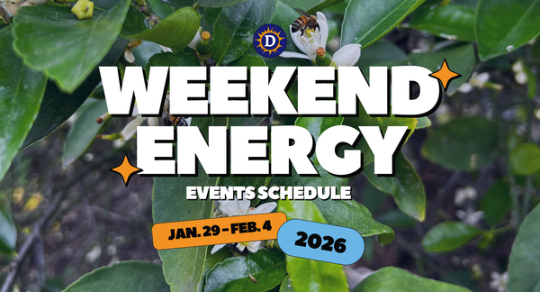 Picture of a lime tree with bees on the flowers with the words "Weekend Energy Events Schedule Jan. 29 - Feb.4 2026"