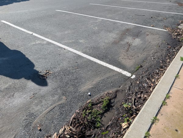 Immigration officials detain US citizen siblings in Mission Bay