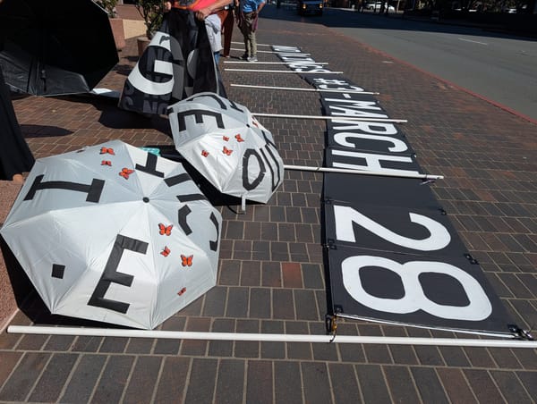 Two white umbrellas with tiny monarch butterflies and the words "ICE out" lie on a brick ground next to a long banner that says "No Kings #3 March 28."