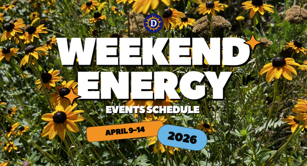 Nature journaling, an art crawl and a 90s day party: Things to do in San Diego April 9-14