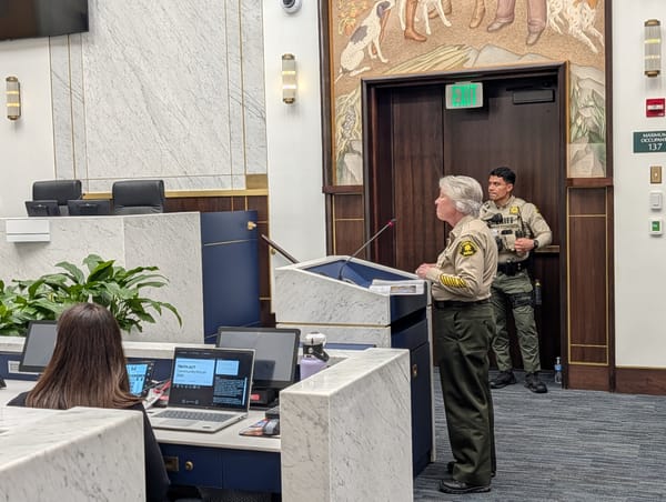 A woman with gray hair wearing a sheriff's uniform stands at a white podium